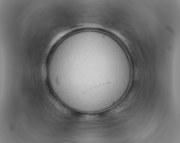 X0000110861271200907021408