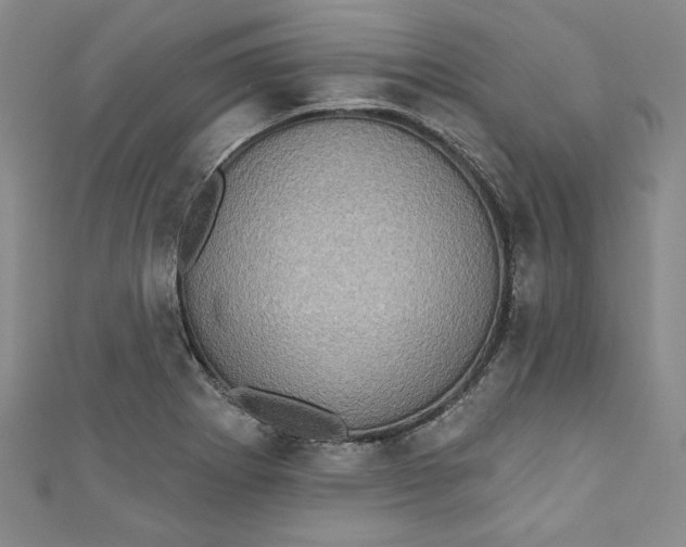 X0000110861273200907021408