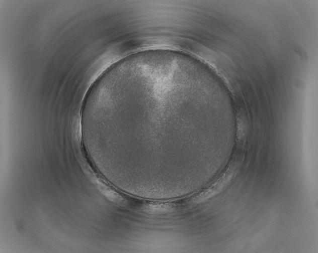 X0000110861274200907021408