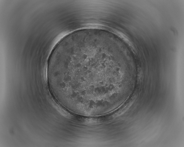 X0000110861275200907021408