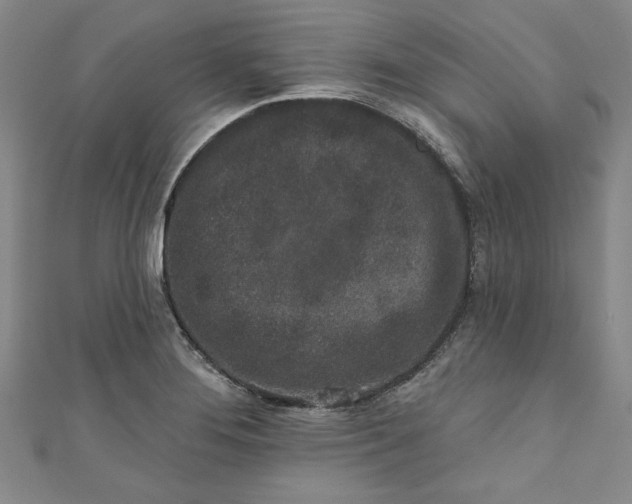 X0000110861276200907021408