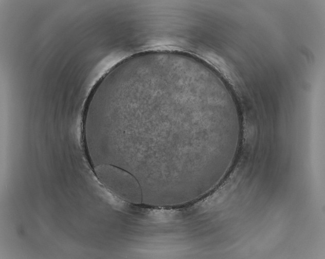 X0000110861277200907021408