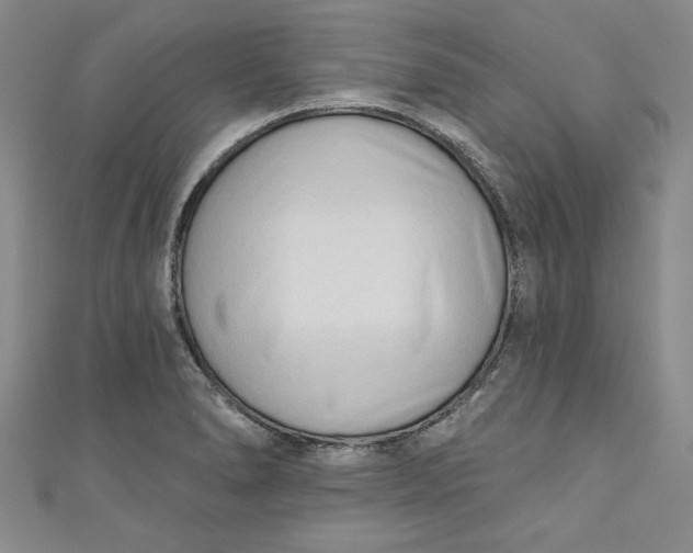 X0000110861278200907021408