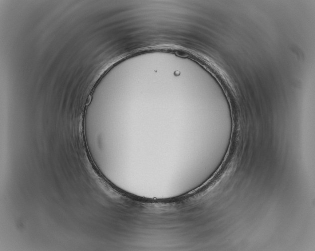 X0000110861281200907021408