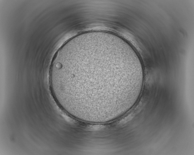 X0000110861282200907021408