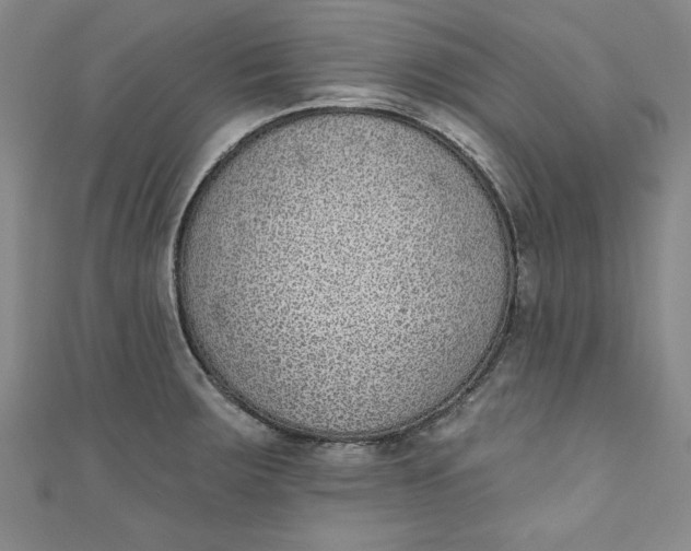 X0000110861283200907021408