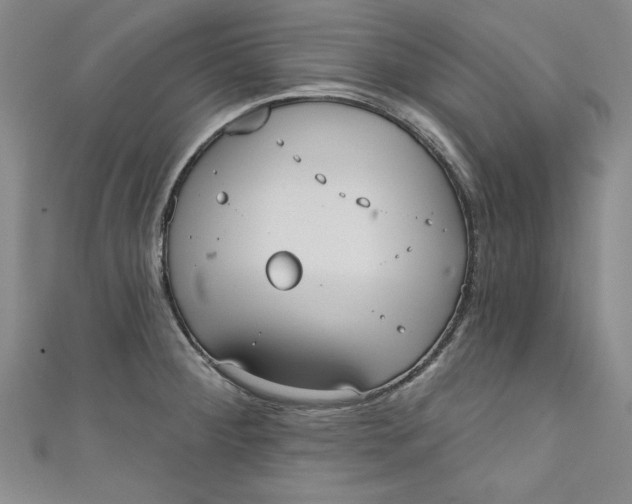 X0000110861284200907021408