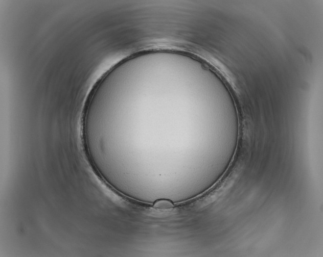 X0000110861285200907021408