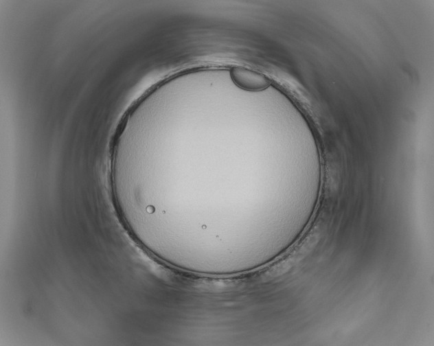 X0000110861286200907021408