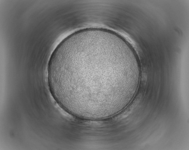 X0000110861287200907021408