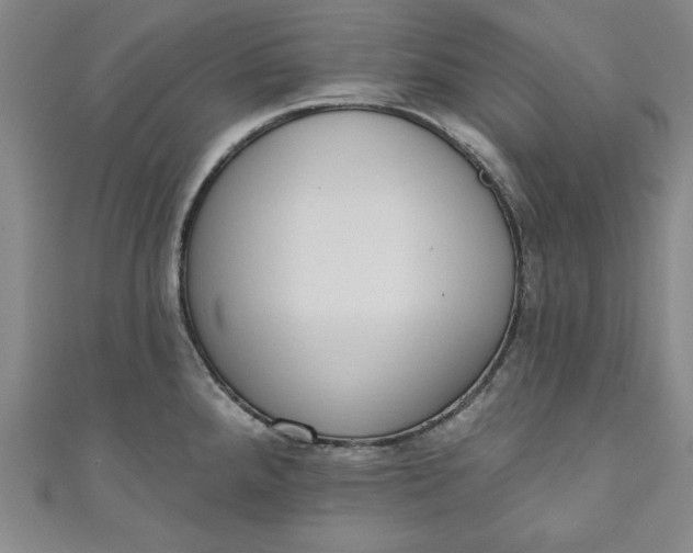 X0000110861288200907021408