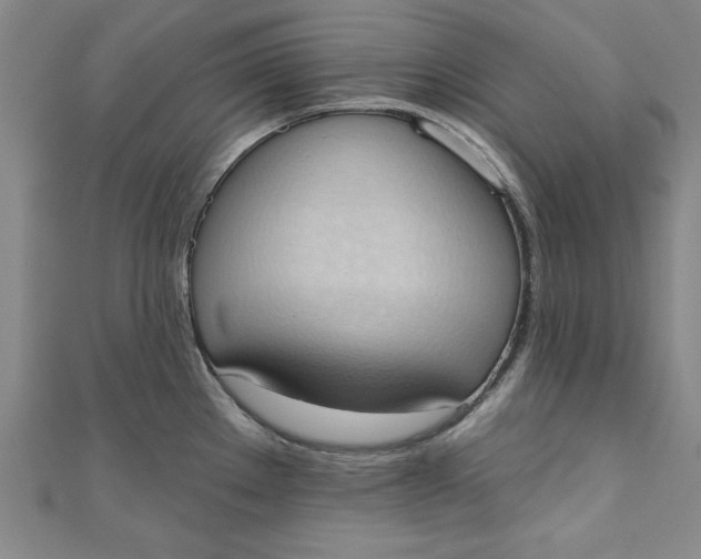 X0000110861289200907021408