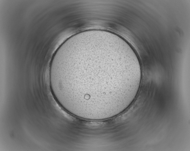 X0000110861290200907021408