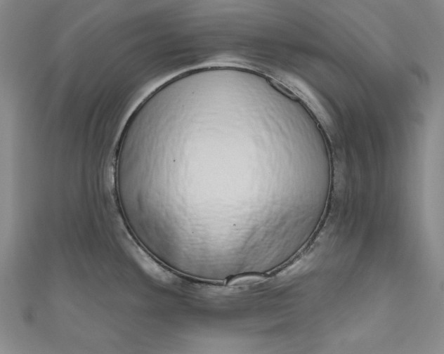 X0000110861292200907021408