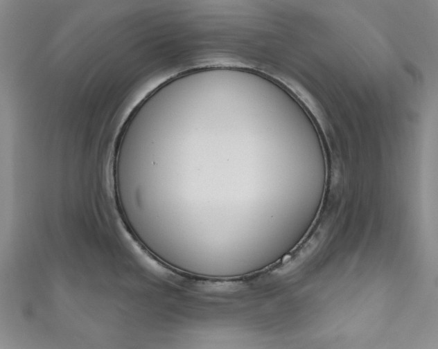 X0000110861293200907021408