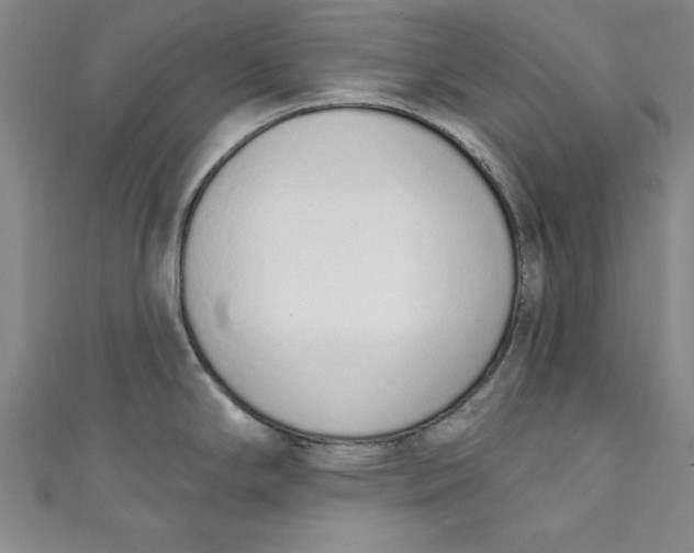 X0000110861294200907021408