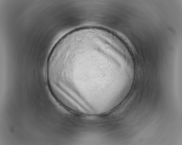 X0000110861295200907021408