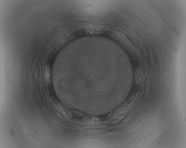 X0000110861298200907021407