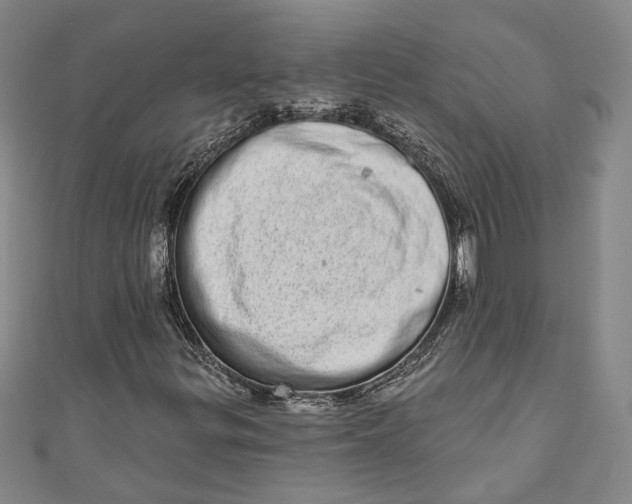 X0000110861299200907021407