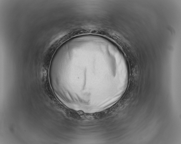 X0000110861302200907021407