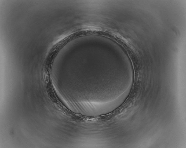 X0000110861303200907021407