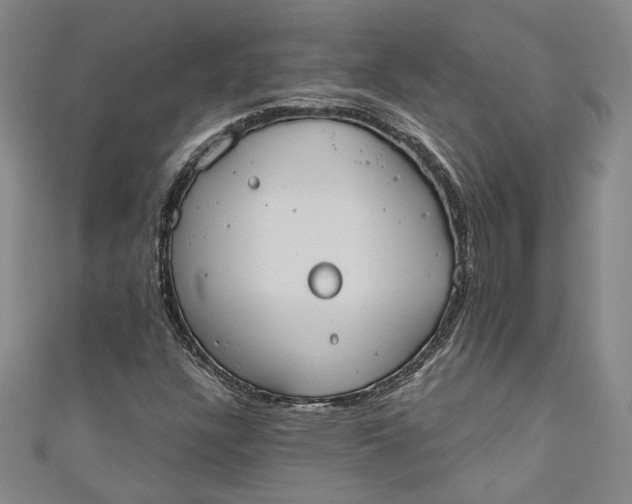 X0000110861304200907021407