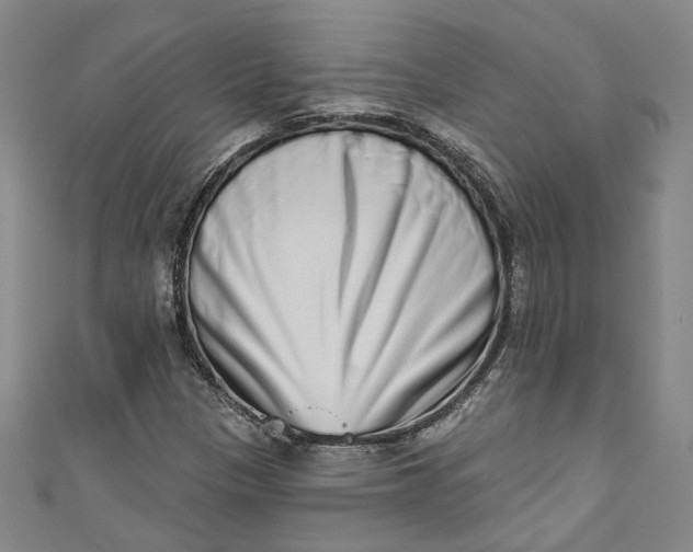 X0000110861305200907021407