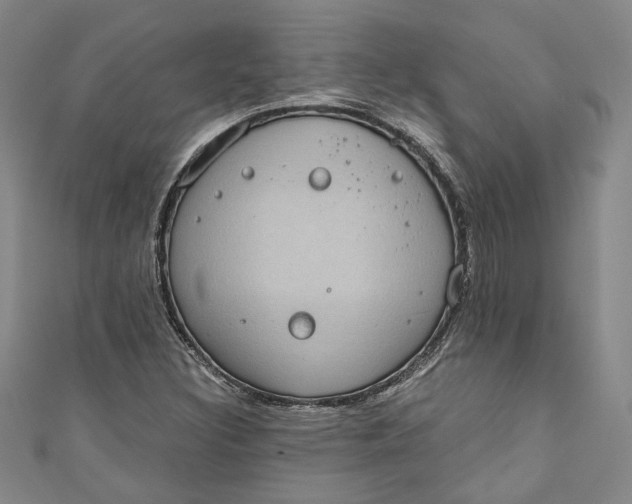 X0000110861308200907021407