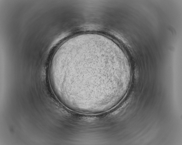 X0000110861309200907021407