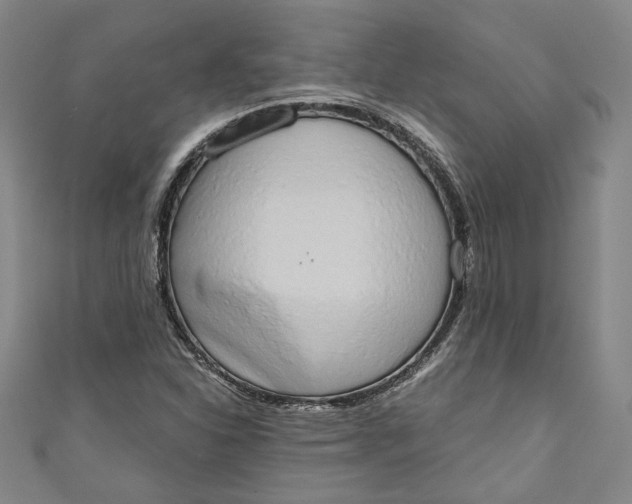 X0000110861310200907021407