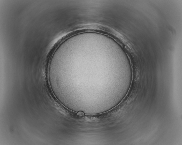 X0000110861312200907021407