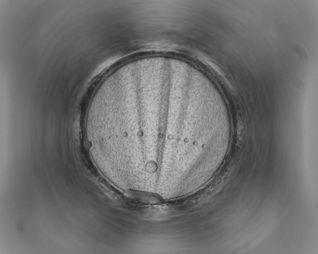 X0000110861315200907021407