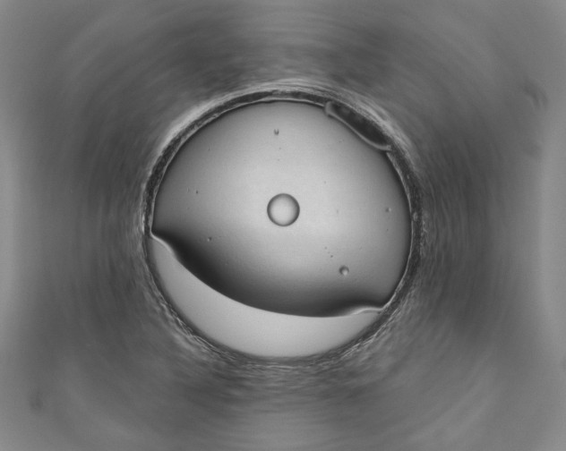 X0000110861316200907021407