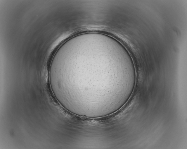 X0000110861317200907021407