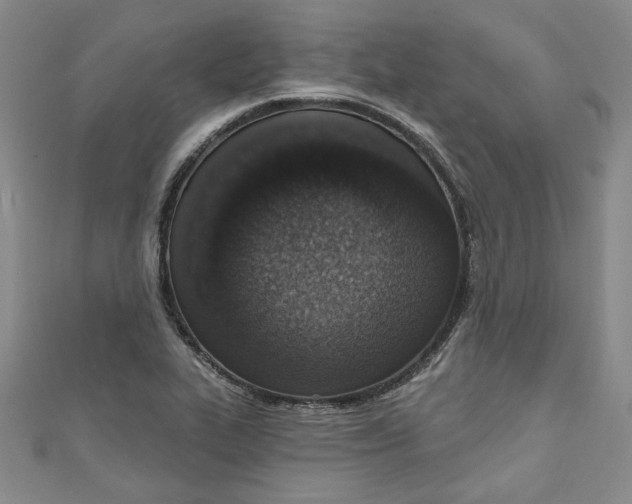 X0000110861319200907021408