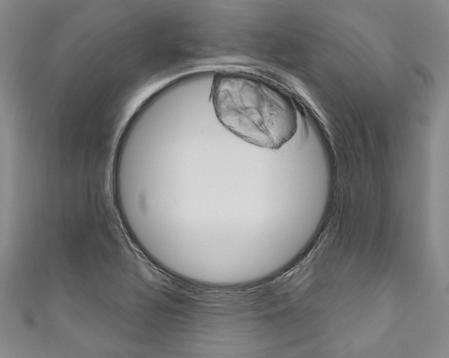 X0000110861320200907021408