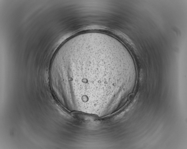 X0000110861321200907021408