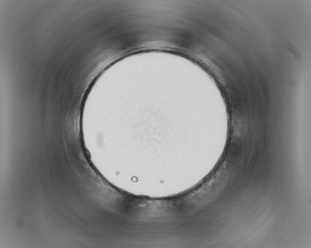 X0000110861322200907021408