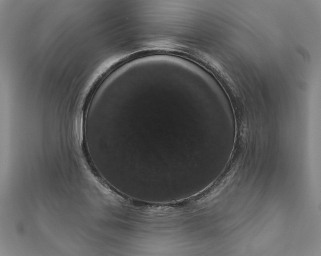 X0000110861323200907021408