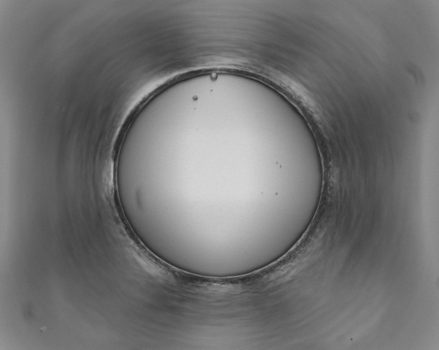 X0000110861324200907021408