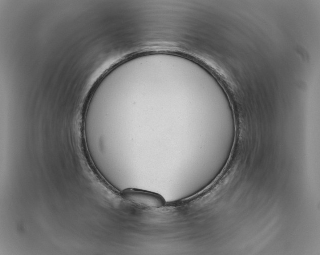 X0000110861325200907021408