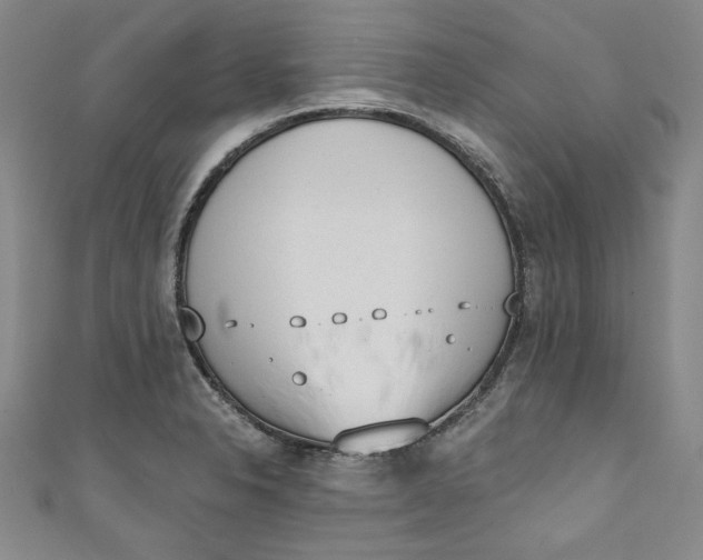 X0000110861326200907021408