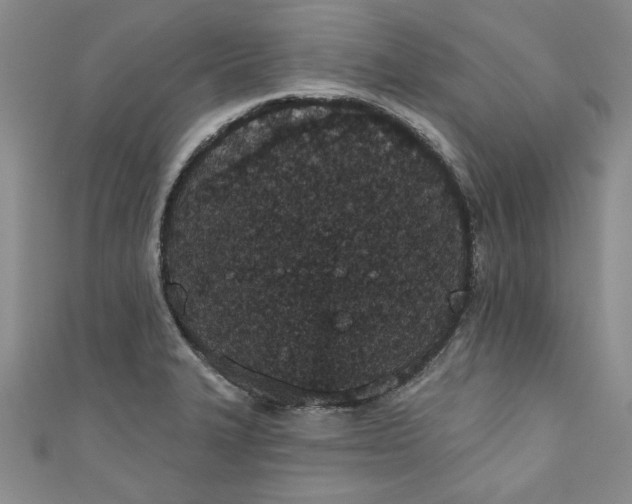 X0000110861327200907021408