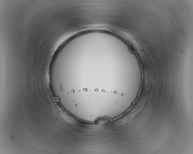 X0000110861328200907021408