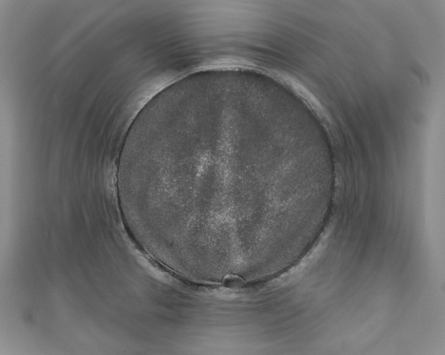 X0000110861329200907021408