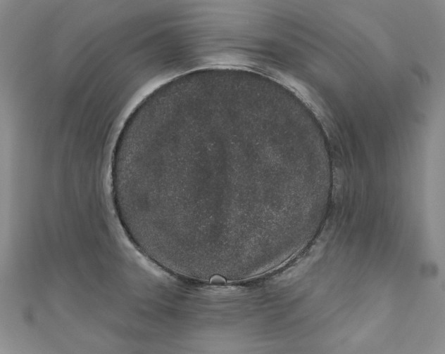 X0000110861331200907021408