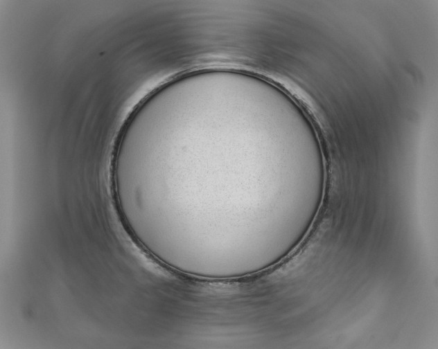 X0000110861333200907021408