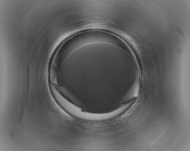 X0000110861334200907021408