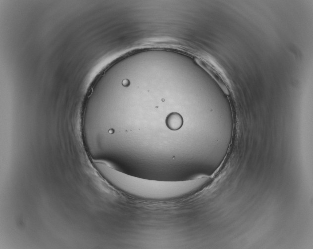 X0000110861336200907021408