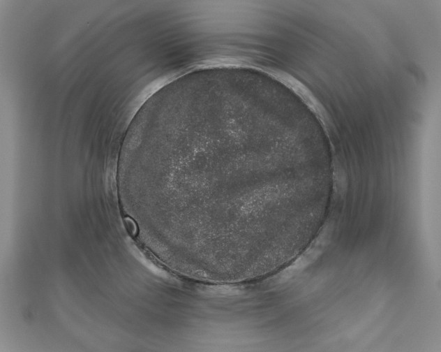 X0000110861337200907021408